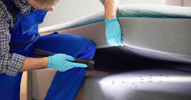 Best Rat Extermination Near Me  in Natchitoches, LA
