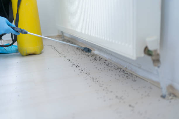 Best Best Pest Control Companies  in Natchitoches, LA